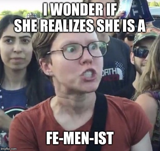 Triggered feminist | I WONDER IF SHE REALIZES SHE IS A; FE-MEN-IST | image tagged in triggered feminist | made w/ Imgflip meme maker