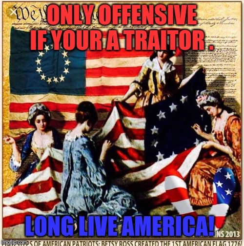 America | ONLY OFFENSIVE IF YOUR A TRAITOR . LONG LIVE AMERICA! | image tagged in freedom in murica | made w/ Imgflip meme maker