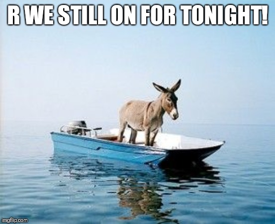 DONKEY ON A BOAT | R WE STILL ON FOR TONIGHT! | image tagged in donkey on a boat | made w/ Imgflip meme maker