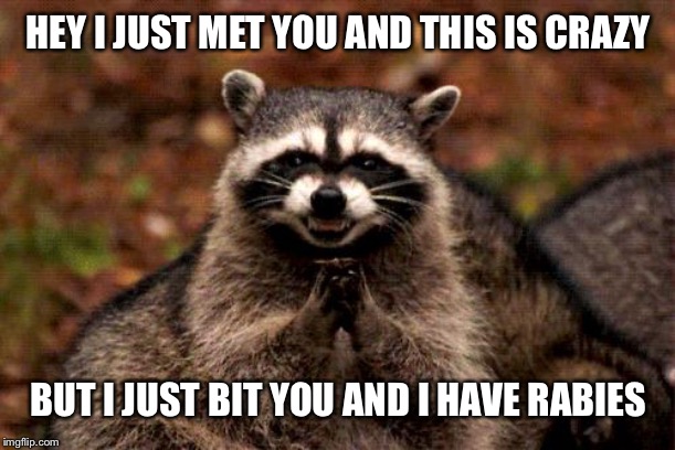 Lol | HEY I JUST MET YOU AND THIS IS CRAZY; BUT I JUST BIT YOU AND I HAVE RABIES | image tagged in memes,evil plotting raccoon | made w/ Imgflip meme maker