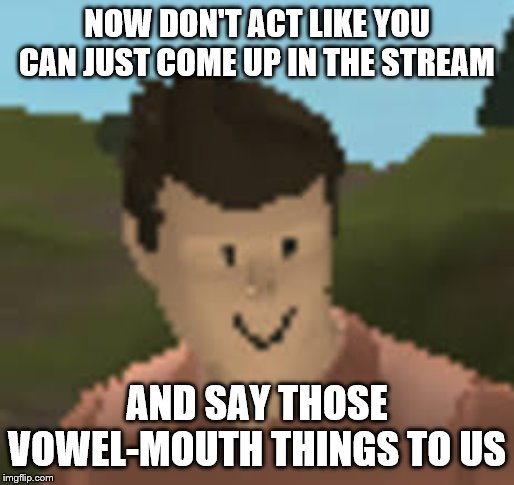 Roblox Anthro | NOW DON'T ACT LIKE YOU CAN JUST COME UP IN THE STREAM AND SAY THOSE VOWEL-MOUTH THINGS TO US | image tagged in roblox anthro | made w/ Imgflip meme maker