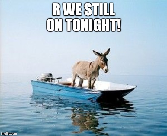 DONKEY ON A BOAT | R WE STILL
ON TONIGHT! | image tagged in donkey on a boat | made w/ Imgflip meme maker