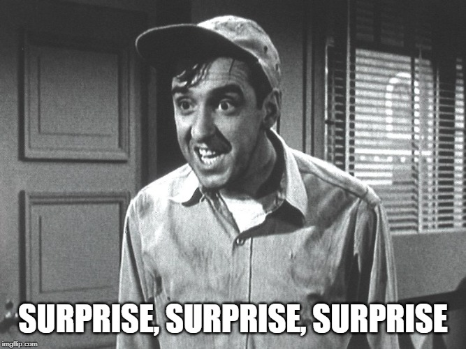 Gomer | SURPRISE, SURPRISE, SURPRISE | image tagged in gomer | made w/ Imgflip meme maker