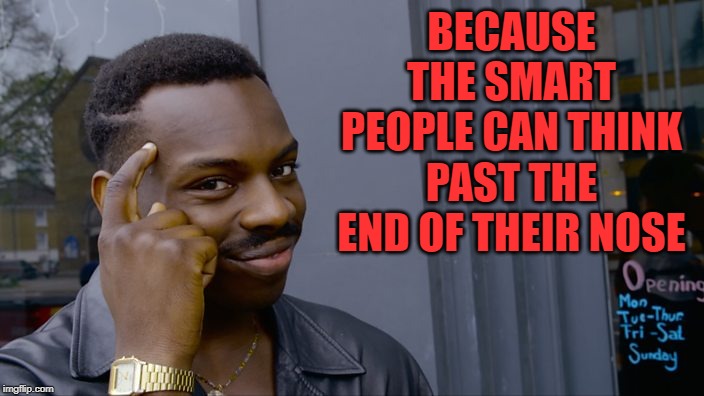 You can't if you don't | BECAUSE THE SMART PEOPLE CAN THINK PAST THE END OF THEIR NOSE | image tagged in you can't if you don't | made w/ Imgflip meme maker