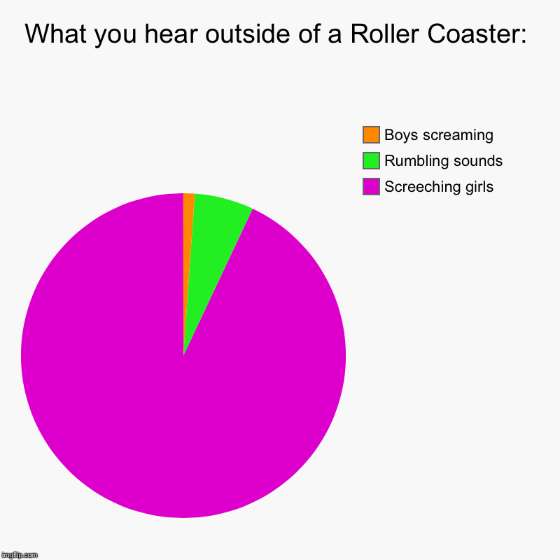 Literally Every Roller Coaster | What you hear outside of a Roller Coaster: | Screeching girls, Rumbling sounds, Boys screaming | image tagged in charts,pie charts | made w/ Imgflip chart maker