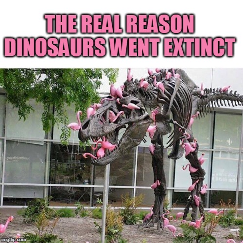 THE REAL REASON DINOSAURS WENT EXTINCT | image tagged in memes,flamingo,pink,dinosaurs,extinction | made w/ Imgflip meme maker