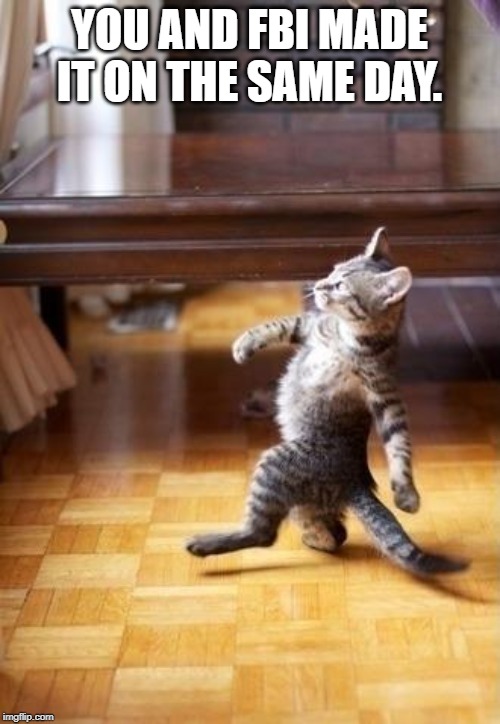 Cool Cat Stroll Meme | YOU AND FBI MADE IT ON THE SAME DAY. | image tagged in memes,cool cat stroll | made w/ Imgflip meme maker
