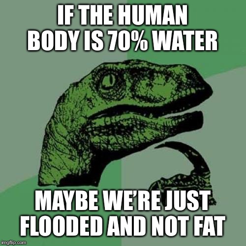 Sounds nicer to me | IF THE HUMAN BODY IS 70% WATER; MAYBE WE’RE JUST FLOODED AND NOT FAT | image tagged in not fat,but maybe i should dehydrate a little | made w/ Imgflip meme maker