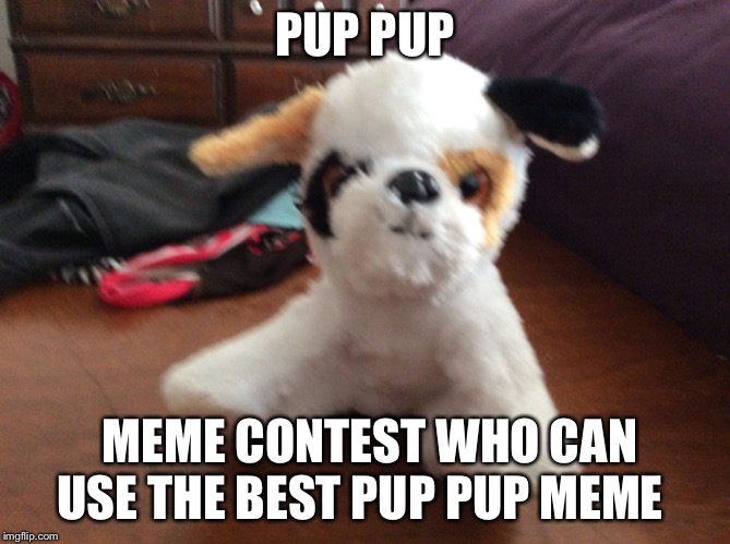 Pup pup | PUP PUP; MEME CONTEST WHO CAN USE THE BEST PUP PUP MEME | image tagged in pup pup | made w/ Imgflip meme maker