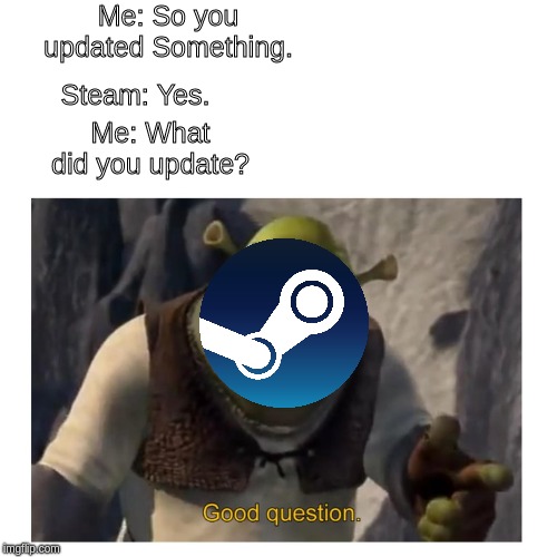 Good Question. | Me: So you updated Something. Steam: Yes. Me: What did you update? | image tagged in memes | made w/ Imgflip meme maker