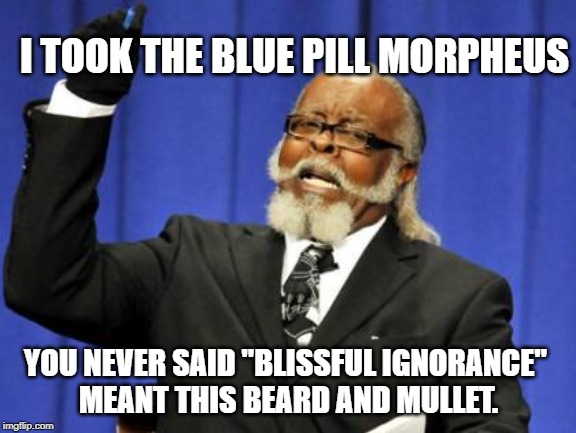 Too Damn High Meme | I TOOK THE BLUE PILL MORPHEUS; YOU NEVER SAID "BLISSFUL IGNORANCE" 
MEANT THIS BEARD AND MULLET. | image tagged in memes,too damn high | made w/ Imgflip meme maker