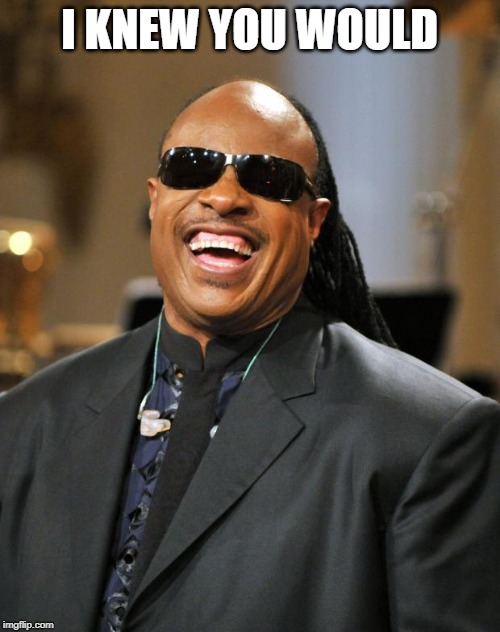 Stevie Wonder | I KNEW YOU WOULD | image tagged in stevie wonder | made w/ Imgflip meme maker