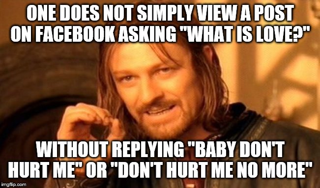 One Does Not Simply | ONE DOES NOT SIMPLY VIEW A POST ON FACEBOOK ASKING "WHAT IS LOVE?"; WITHOUT REPLYING "BABY DON'T HURT ME" OR "DON'T HURT ME NO MORE" | image tagged in memes,one does not simply,what is love | made w/ Imgflip meme maker