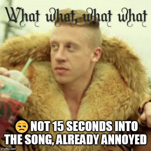 Not even 15 seconds in... | 😒NOT 15 SECONDS INTO THE SONG, ALREADY ANNOYED | image tagged in memes,macklemore thrift store,thrist store,music,rap,bad music | made w/ Imgflip meme maker