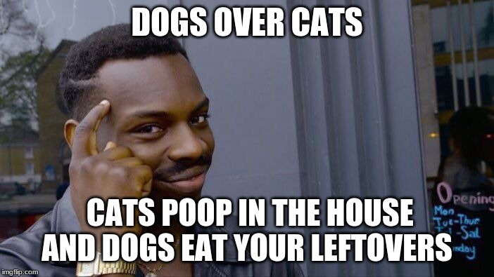 Roll Safe Think About It | DOGS OVER CATS; CATS POOP IN THE HOUSE AND DOGS EAT YOUR LEFTOVERS | image tagged in memes,roll safe think about it | made w/ Imgflip meme maker