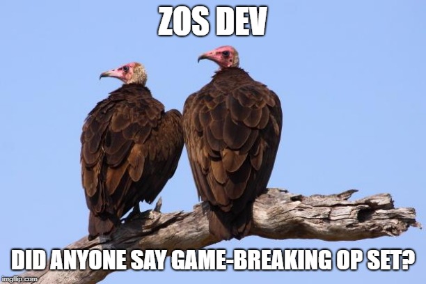 Vultures | ZOS DEV; DID ANYONE SAY GAME-BREAKING OP SET? | image tagged in vultures | made w/ Imgflip meme maker