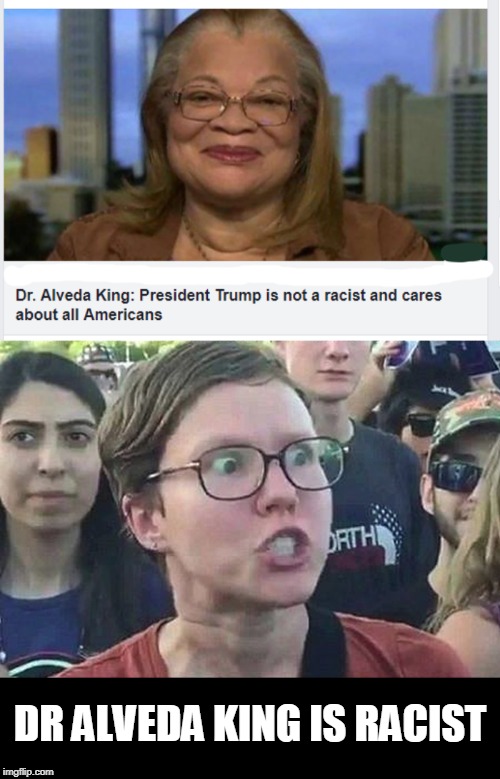 DR Alveda King | DR ALVEDA KING IS RACIST | image tagged in triggered liberal,dr king,racist | made w/ Imgflip meme maker