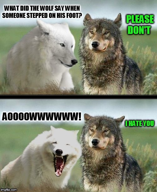 Trying to make a wolf meme is a little Ruff | PLEASE DON'T; WHAT DID THE WOLF SAY WHEN SOMEONE STEPPED ON HIS FOOT? AOOOOWWWWWW! I HATE YOU | image tagged in memes,jokes,wolf,wolves,bad jokes,fangs | made w/ Imgflip meme maker