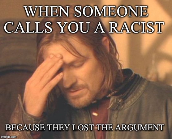 Frustrated Boromir Meme | WHEN SOMEONE CALLS YOU A RACIST; BECAUSE THEY LOST THE ARGUMENT | image tagged in memes,frustrated boromir | made w/ Imgflip meme maker