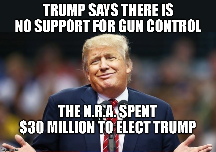 This is What a Corrupt President Looks Like | TRUMP SAYS THERE IS NO SUPPORT FOR GUN CONTROL; THE N.R.A. SPENT $30 MILLION TO ELECT TRUMP | image tagged in nra,government corruption,traitor,liar,impeach trump | made w/ Imgflip meme maker