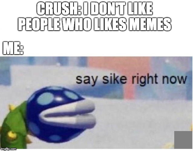 Say sike right now | CRUSH: I DON'T LIKE PEOPLE WHO LIKES MEMES; ME: | image tagged in say sike right now | made w/ Imgflip meme maker