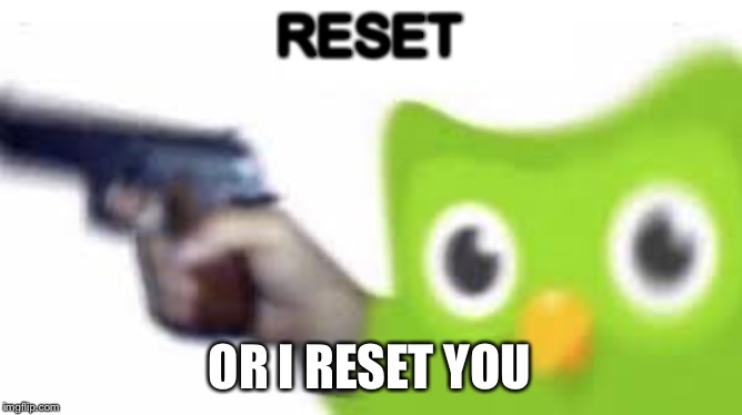 Duolingo gun | RESET; OR I RESET YOU | image tagged in duolingo gun | made w/ Imgflip meme maker