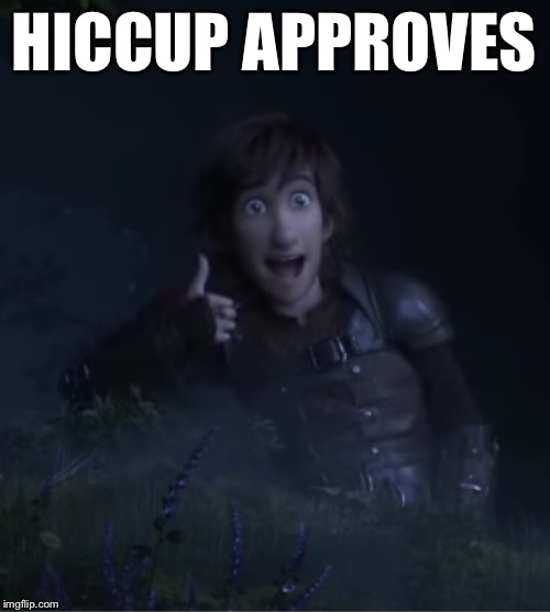 Hiccup Approves HICCUP APPROVES image tagged in httyd,hiccup,help i cant do...