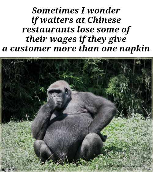 Seriously! Have you ever tried to get extra napkins at a Chinese restaurant? It's like pulling teeth! | Sometimes I wonder if waiters at Chinese restaurants lose some of their wages if they give a customer more than one napkin | image tagged in meme,deep thoughts,gorilla | made w/ Imgflip meme maker