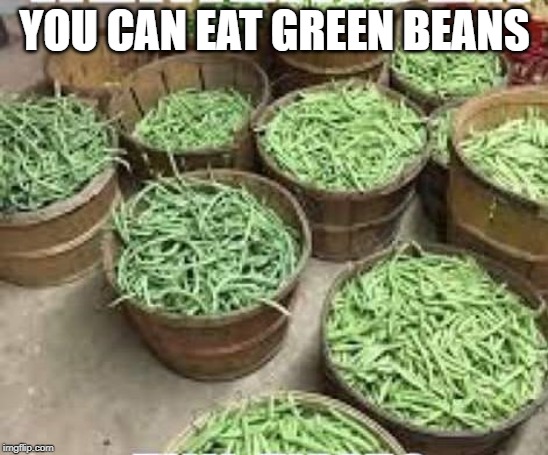 green beans | YOU CAN EAT GREEN BEANS | image tagged in green beans | made w/ Imgflip meme maker