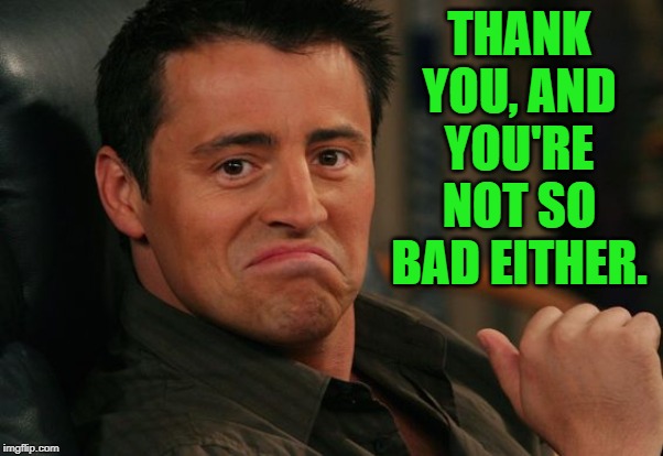 Proud Joey | THANK YOU, AND YOU'RE NOT SO BAD EITHER. | image tagged in proud joey | made w/ Imgflip meme maker
