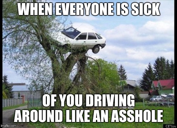 Secure Parking Meme | WHEN EVERYONE IS SICK; OF YOU DRIVING AROUND LIKE AN ASSHOLE | image tagged in memes,secure parking | made w/ Imgflip meme maker