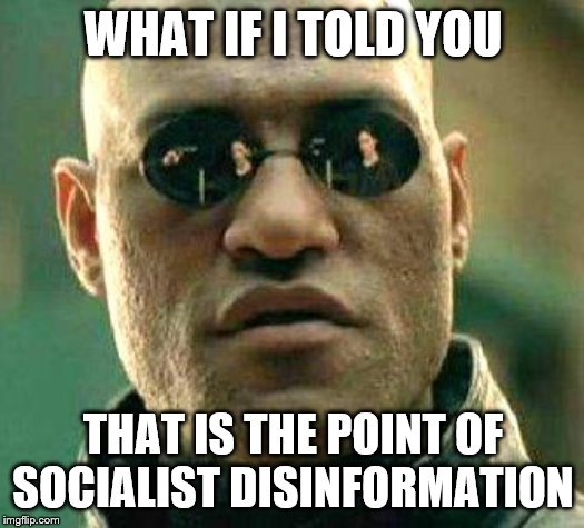 What if i told you | WHAT IF I TOLD YOU THAT IS THE POINT OF SOCIALIST DISINFORMATION | image tagged in what if i told you | made w/ Imgflip meme maker