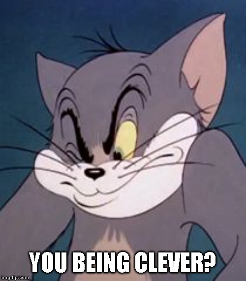 Tom cat | YOU BEING CLEVER? | image tagged in tom cat | made w/ Imgflip meme maker