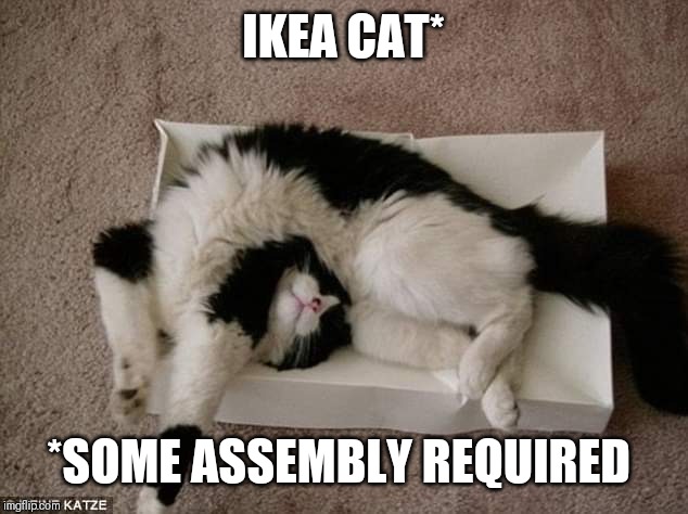 IKEA cat | IKEA CAT*; *SOME ASSEMBLY REQUIRED | image tagged in ikea cat | made w/ Imgflip meme maker