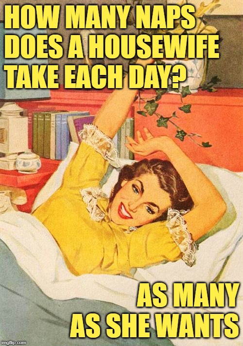 The Napping Housewife | HOW MANY NAPS DOES A HOUSEWIFE TAKE EACH DAY? AS MANY AS SHE WANTS | image tagged in vintage,housewife,nap time,so funny memes,women,role model | made w/ Imgflip meme maker