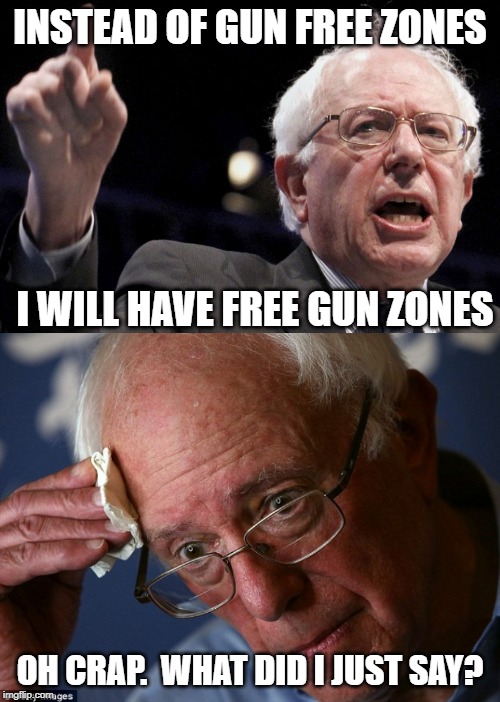 I think somebody might be getting a little senile | INSTEAD OF GUN FREE ZONES; I WILL HAVE FREE GUN ZONES; OH CRAP.  WHAT DID I JUST SAY? | image tagged in bernie sanders,gun free zone,free gun zone,feel the bern | made w/ Imgflip meme maker