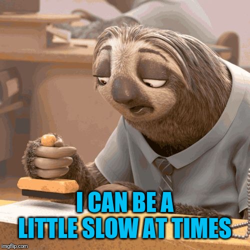 Slow sloth | I CAN BE A LITTLE SLOW AT TIMES | image tagged in slow sloth | made w/ Imgflip meme maker