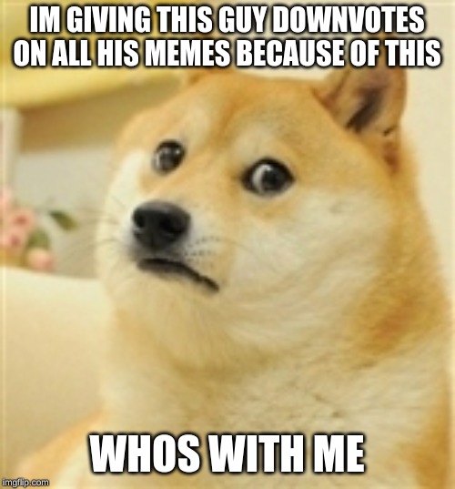 Sad Doge | IM GIVING THIS GUY DOWNVOTES ON ALL HIS MEMES BECAUSE OF THIS WHOS WITH ME | image tagged in sad doge | made w/ Imgflip meme maker