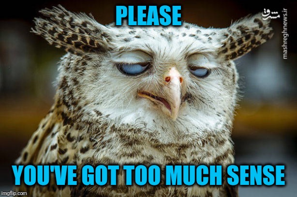 Unwise Owl | PLEASE YOU'VE GOT TOO MUCH SENSE | image tagged in unwise owl | made w/ Imgflip meme maker