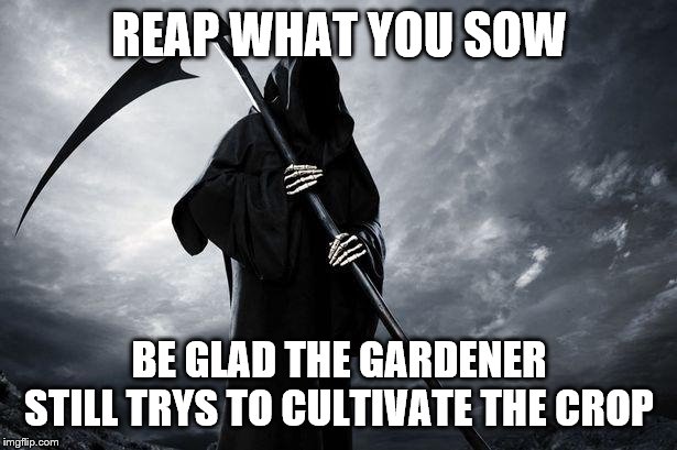 Death | REAP WHAT YOU SOW BE GLAD THE GARDENER STILL TRYS TO CULTIVATE THE CROP | image tagged in death | made w/ Imgflip meme maker