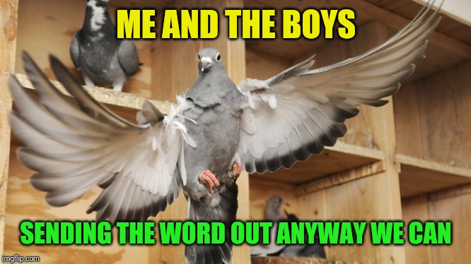 Mark your calendars for Me and the Boys Week (Aug 19th-25).
A Nixie.Knox and CravenMoordik event |  ME AND THE BOYS; SENDING THE WORD OUT ANYWAY WE CAN | image tagged in me and the boys,me and the boys week,carrier pigeons,face you make robert downey jr,nixieknox,cravenmoordik | made w/ Imgflip meme maker
