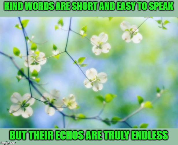 flowers | KIND WORDS ARE SHORT AND EASY TO SPEAK BUT THEIR ECHOS ARE TRULY ENDLESS | image tagged in flowers | made w/ Imgflip meme maker
