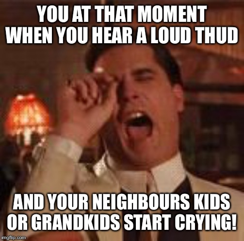 Laugh | YOU AT THAT MOMENT WHEN YOU HEAR A LOUD THUD; AND YOUR NEIGHBOURS KIDS OR GRANDKIDS START CRYING! | image tagged in laugh | made w/ Imgflip meme maker