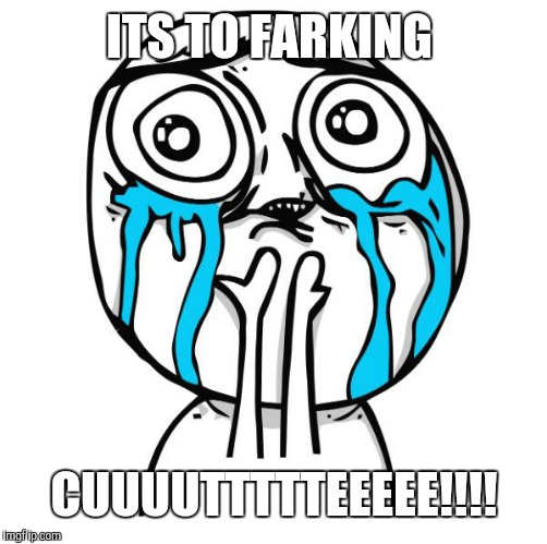 cuteness overload rage face | ITS TO FARKING CUUUUTTTTTEEEEE!!!! | image tagged in cuteness overload rage face | made w/ Imgflip meme maker
