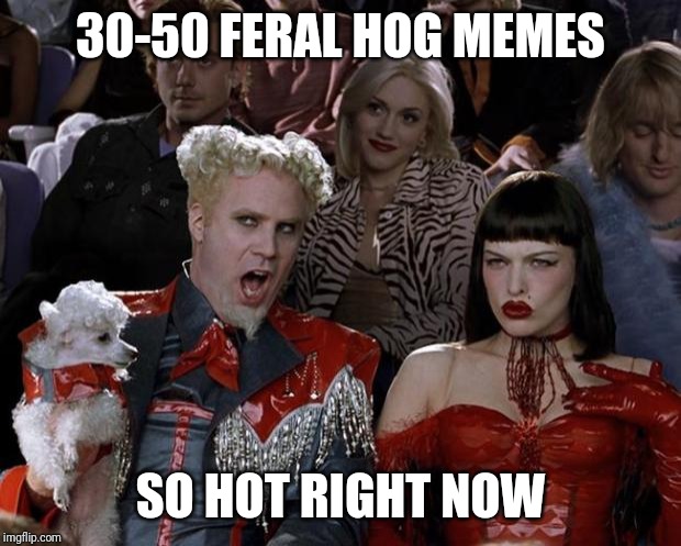 Mugatu So Hot Right Now Meme | 30-50 FERAL HOG MEMES; SO HOT RIGHT NOW | image tagged in memes,mugatu so hot right now | made w/ Imgflip meme maker