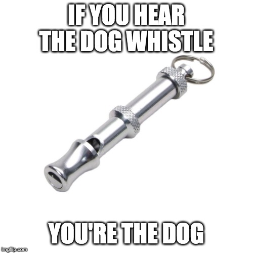 dog whistle | IF YOU HEAR THE DOG WHISTLE YOU'RE THE DOG | image tagged in dog whistle | made w/ Imgflip meme maker