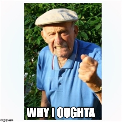 Old man shaking fist | WHY I OUGHTA | image tagged in old man shaking fist | made w/ Imgflip meme maker