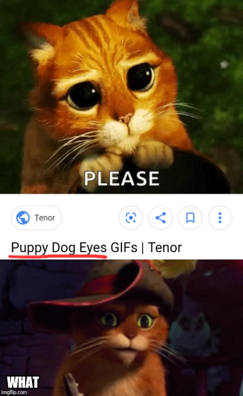 scrolling through da internet for PUPPIES | WHAT | image tagged in disney,puss in boots | made w/ Imgflip meme maker
