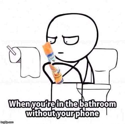 Anyone Else do This? | image tagged in bathroom,phones | made w/ Imgflip meme maker