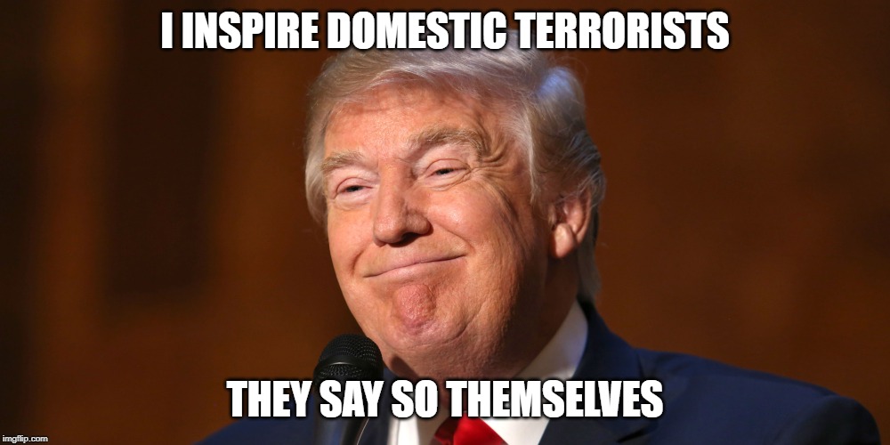 Donald Trump Smiling | I INSPIRE DOMESTIC TERRORISTS; THEY SAY SO THEMSELVES | image tagged in donald trump smiling | made w/ Imgflip meme maker
